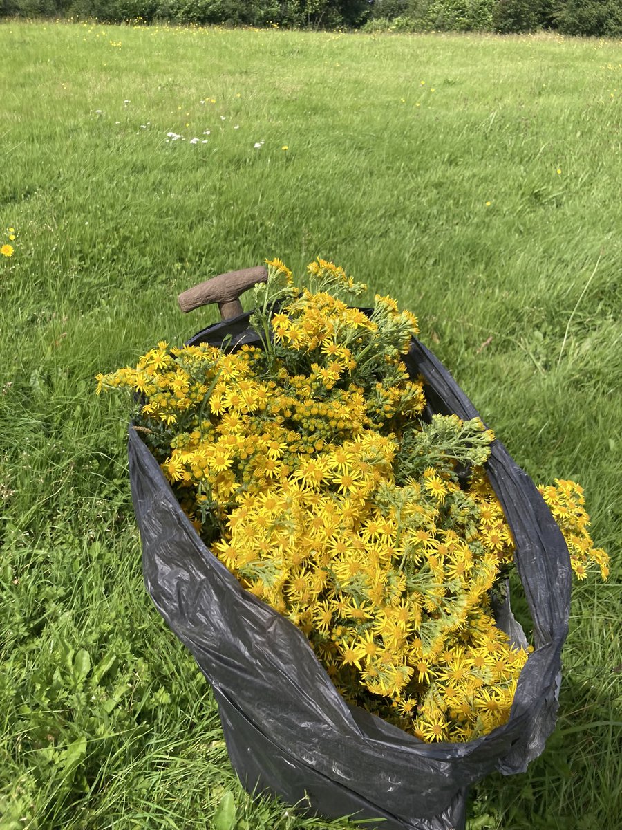 Debsborough tweet media