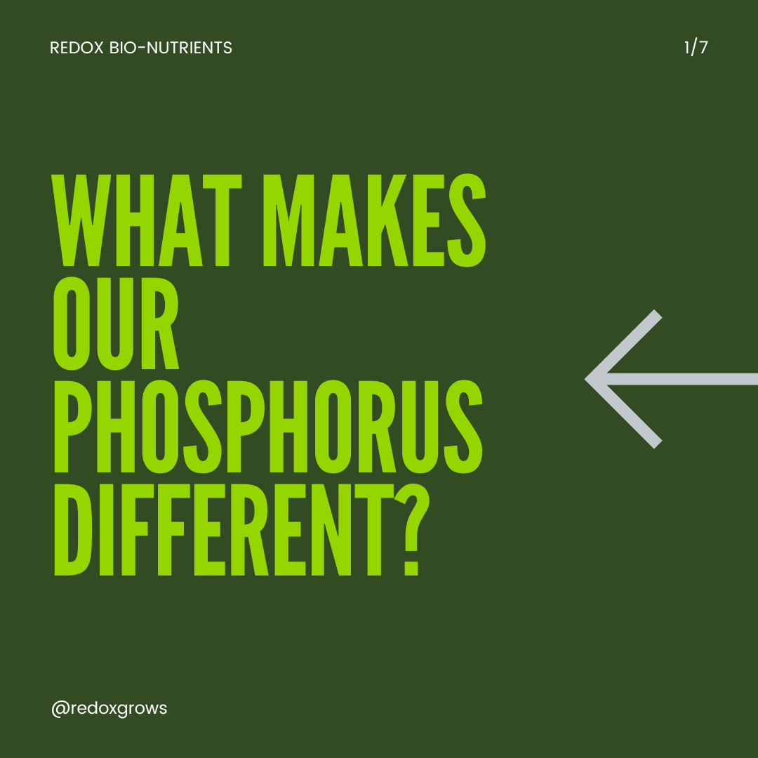 redoxgrows's tweet photo. Early season root development strongly influences crop season performance. A key factor for optimum root growth is phosphorus nutrition. Phosphorus is the energy molecule of the plant. https://t.co/D1fkeXWfRZ