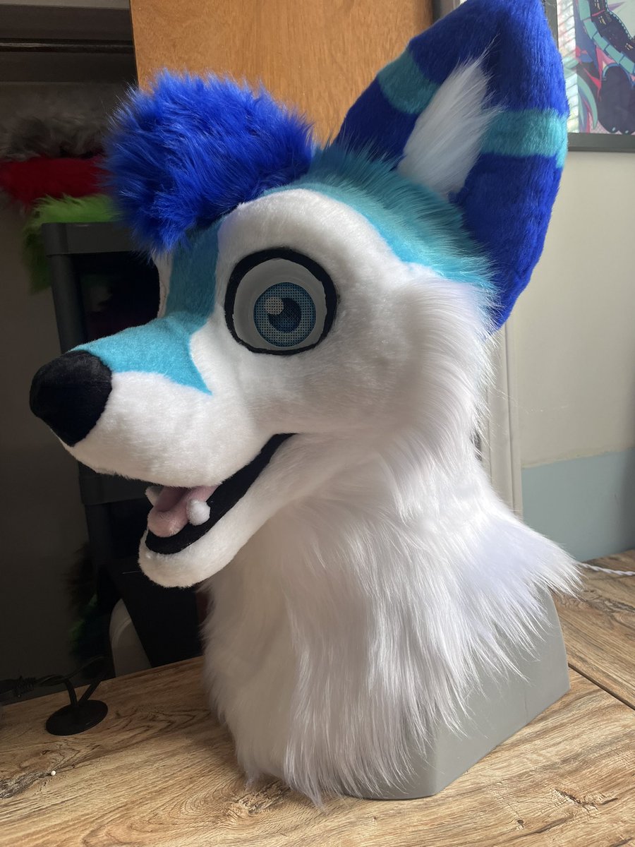 I never shared the official photos of Brince here! 
He was sent home last week and arrived safely! I love the blue colors on this suit 💙🩵