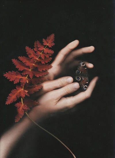 v_rossouw3's tweet photo. Sanguine natura
Natalia Drepina https://t.co/duXS1705Nt