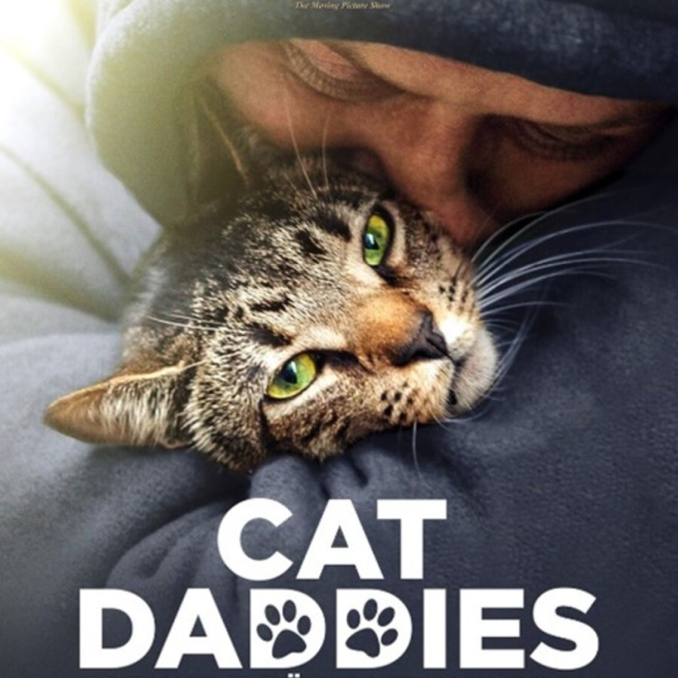 ApolloAachen's tweet photo. Ab Donnerstag neu im Programm:

Black Box (Drama) https://t.co/QyZpfEj9Yq

Cat Daddies – Freunde für sieben Leben (Dokumentarfilm) https://t.co/elUX812EIy

#neustarts #arthouse #filme #Aachen #Kino https://t.co/eIMdVNOxXG