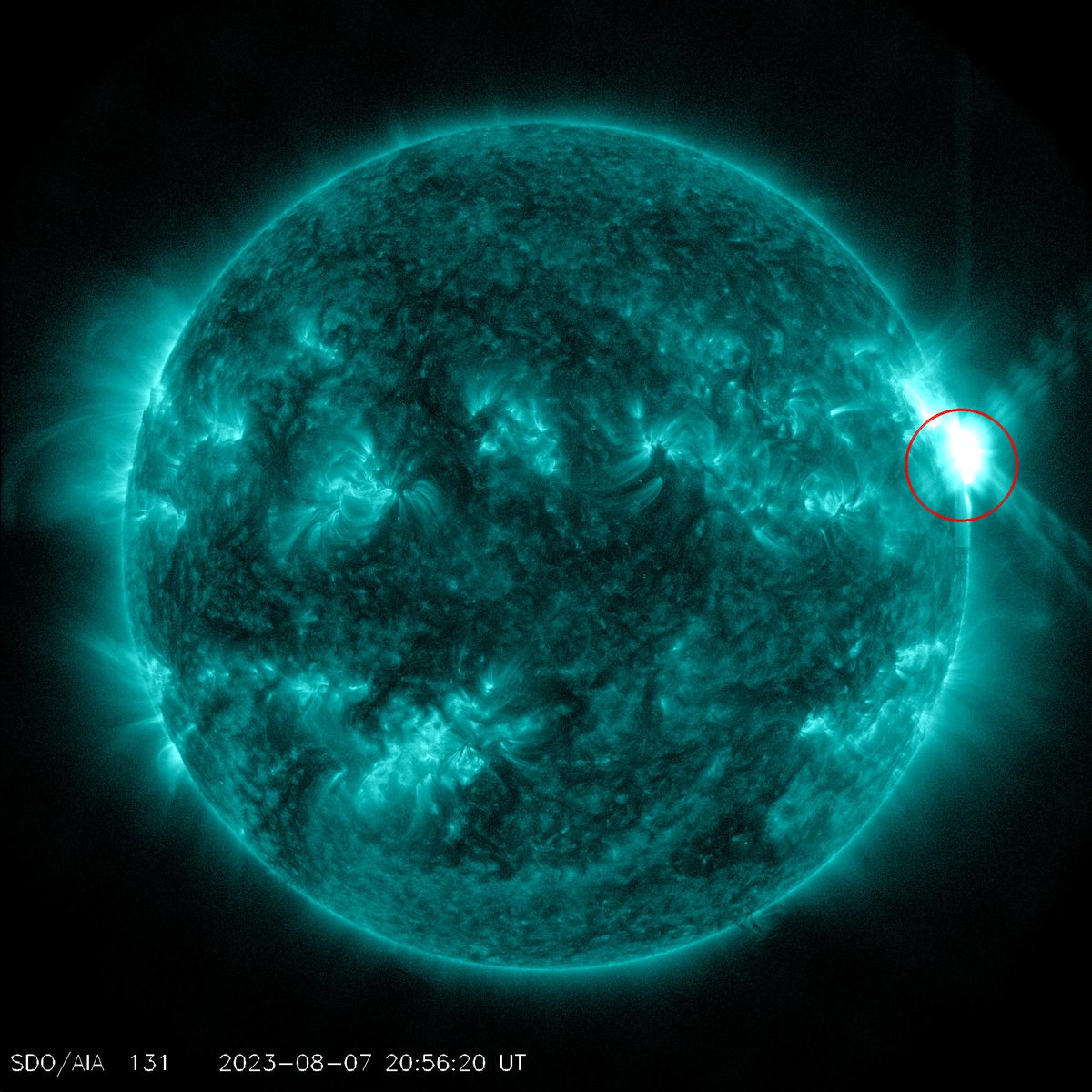 _SpaceWeather_'s tweet photo. Major X1.51 flare from sunspot region 3386
Follow live on https://t.co/3Xxrvc3cpA https://t.co/J31rClT7lt