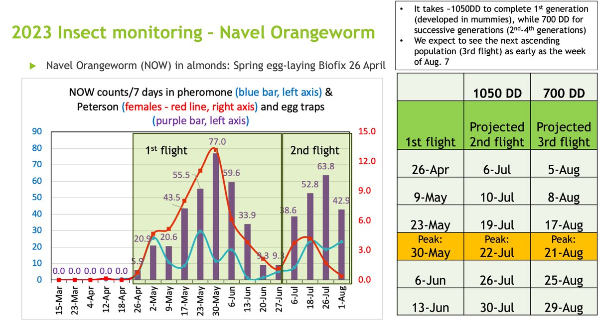 Latest on flight and projected generation timing of navel orangeworm, Amyelois transitella - a notorious pest of tree nuts in California (Calculations are based on Modesto area weather/trap counts) <a href="/SJVtandv/">San Joaquin Valley Trees and Vines - UC ANR</a> <a href="/UCCEStanislaus/">UCCE Stanislaus County</a> <a href="/SacOrchards/">SacValleyOrchards</a> <a href="/UCIPM/">UC Statewide IPM Program</a>
