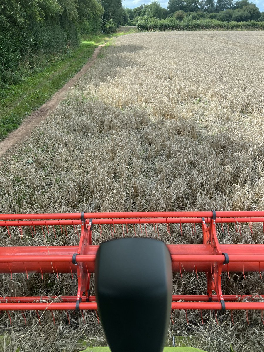 Richard Payne tweet media