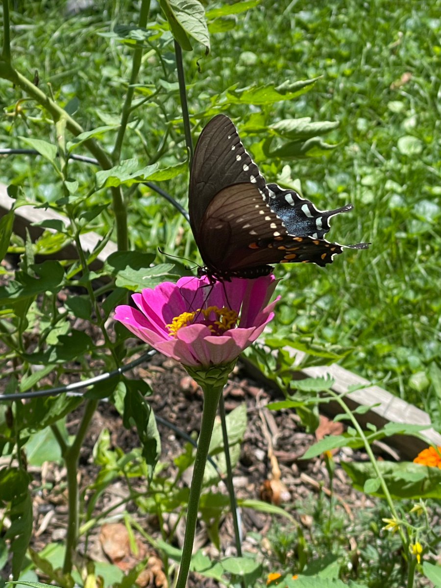 Take a minute, breath and enjoy the beauty around you.