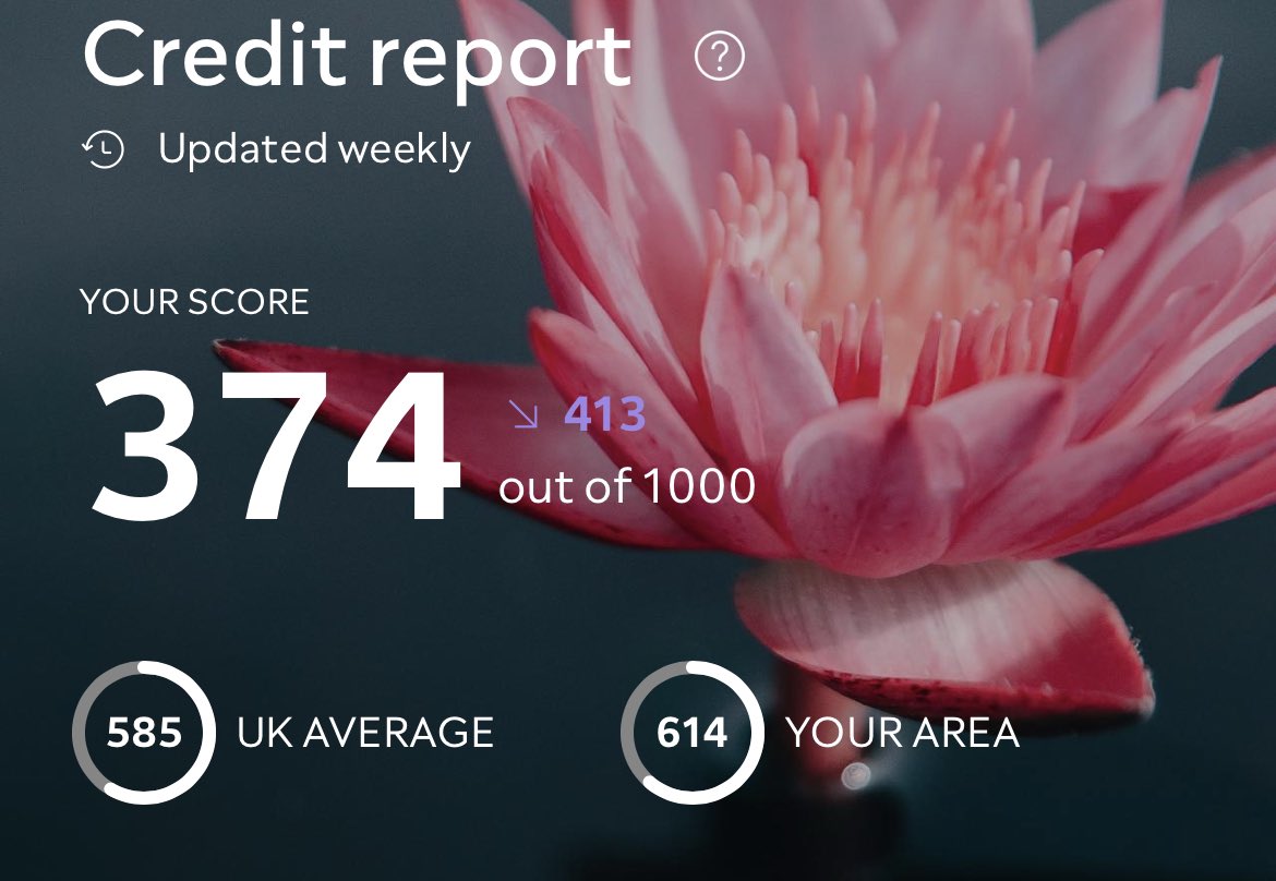 Lucy Fuller tweet media