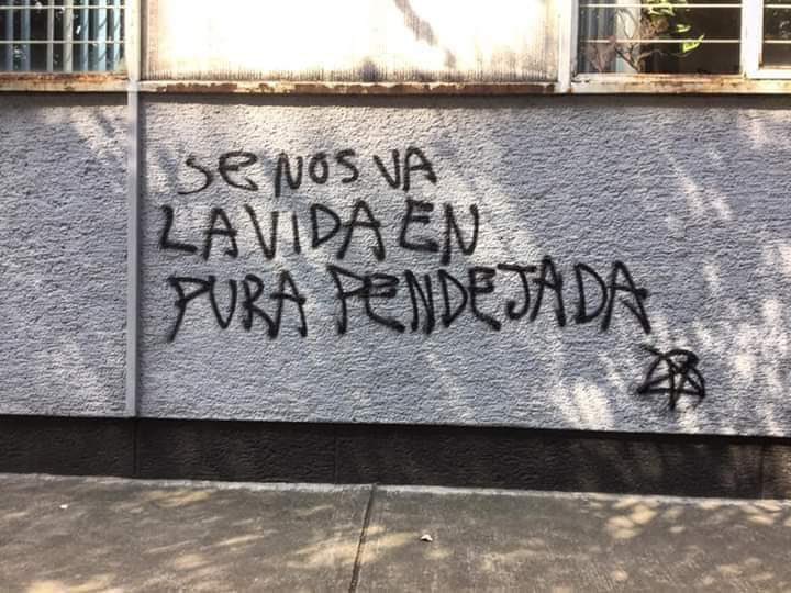 nxstypxet's tweet photo. confirmo https://t.co/cE3dHzgRyk