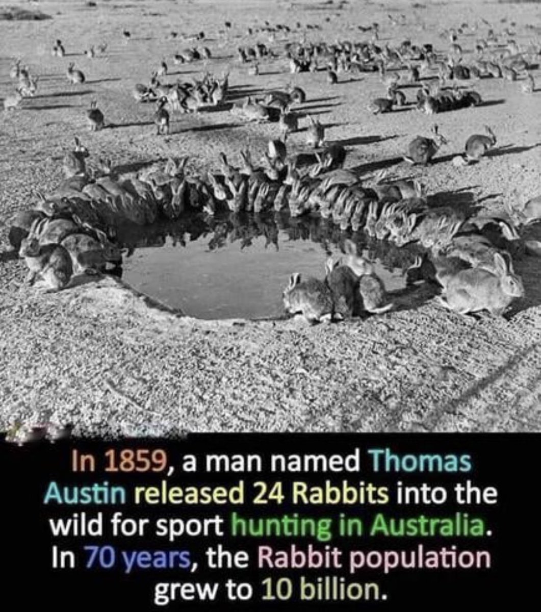 PicturesFoIder's tweet photo. this is insane https://t.co/cj4eyQKMCi