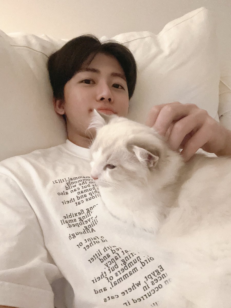 jungshasa's tweet photo. PLIS INI BLACKHAIR, NGELUS KUCING SAMBIL REBAHAN, MAKSUDNYA TUH APAYA NA JAEMIN ??!! 😭😭😭 https://t.co/4YksectSxQ
