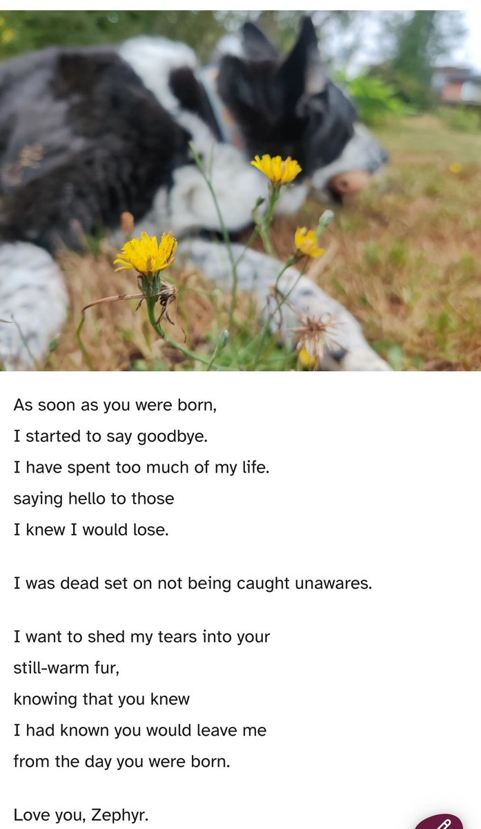 Madison Rye Progress, holder of writings (@makyo_writes) on Twitter photo 