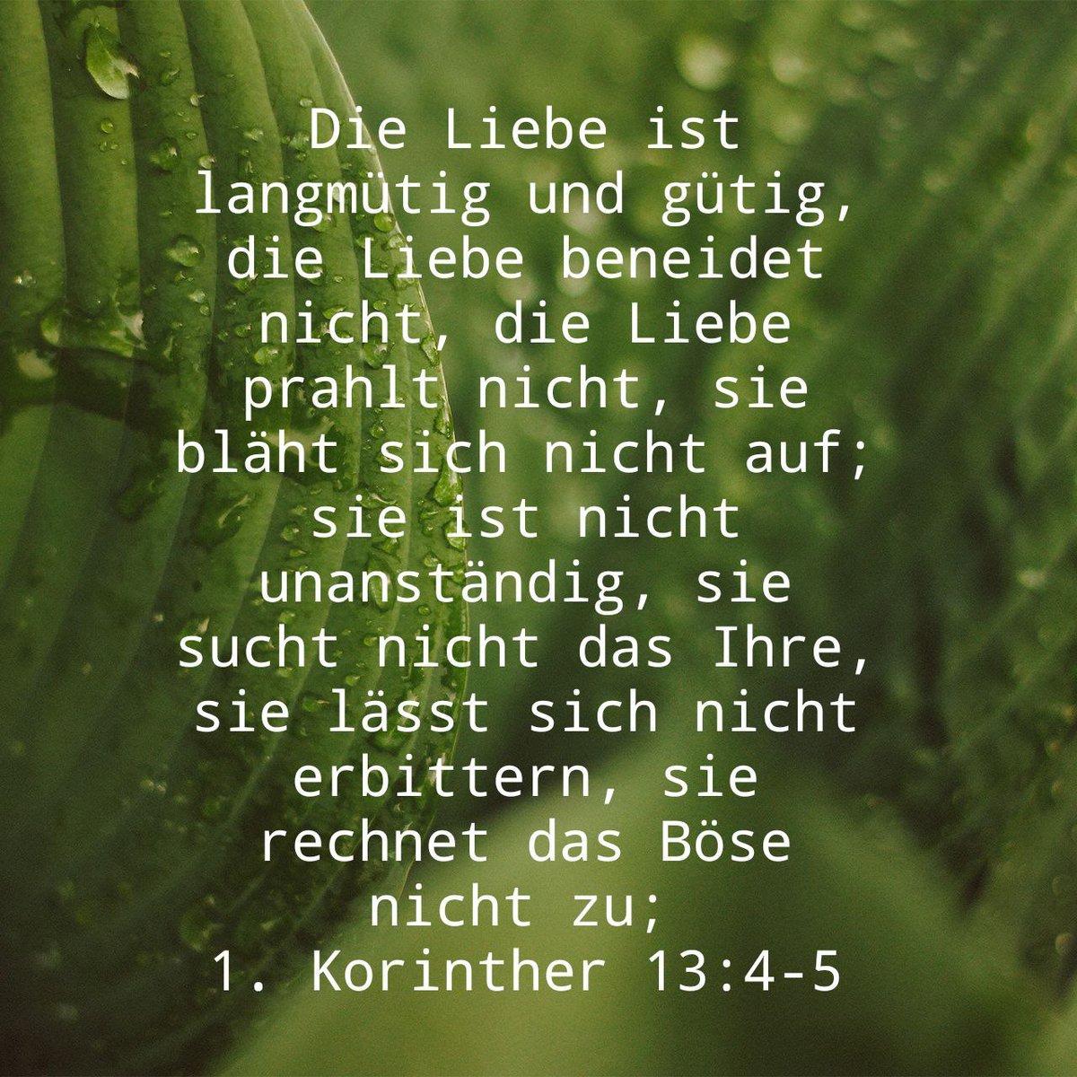wiedergeboren_i's tweet photo. Bibel-Gedanken zur Liebe 1. Korinther, 13: 4+5 aus Schlachter 2000 Übersetzung gefallen uns besonders gut ...
#versbild #1korinther13vers4und5 #hoheliedderbibel #apostelpaulus #bibellesen #jesuslebt #jesusliebtDich #heilungsistmoeglich #betenhilft #bibelverse #wiedergeboreninfo https://t.co/B12HQmjTAW