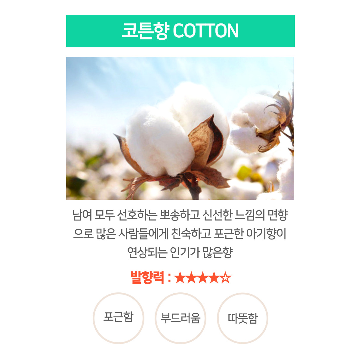 Sevenstar7s's tweet photo. 구경들오세요~재구매율99%제품입니다~네이버검색 '에뚜왈비주'
1+1+1 할인판매중~빨리들 오세요~
https://t.co/Y4mtEjIt19

#디퓨저 #방향제 #인테리어소품 #향기 #디퓨저리필 #꽃집향 #자동차디퓨저 #차량용방향제 #자동차방향제 #차량용 #디퓨저선물 #에뚜왈비주 #diffuser https://t.co/tvBGhSc9PJ