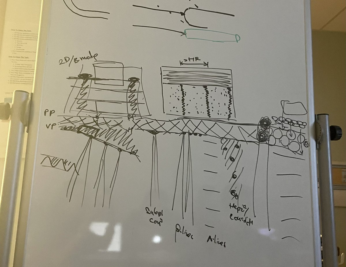 The amazing <a href="/Wil_MaChan/">wilma chan, MD, EdM</a> went to the whiteboard today to explain to the fellows the sonographic findings associated with normal and abnormal lung!@cruhlmoore <a href="/3jeffkramer/">jeff kramer</a>