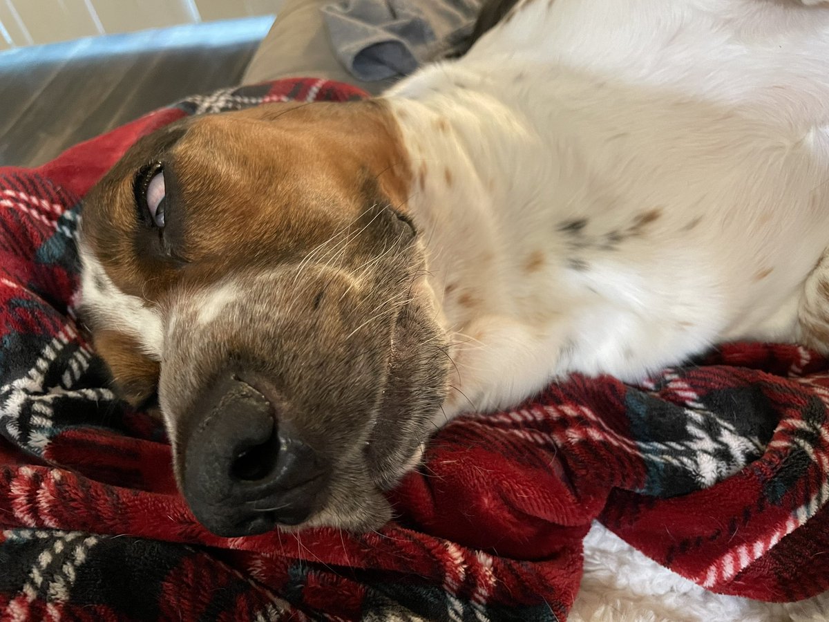 Hihihi. Karls has some Monday faces.