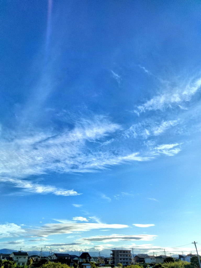 amamitsuki2011's tweet photo. 夏の土用も終わり暦の上では「立秋」
爽やかな青空が広がり蝉の声にかわり虫の音が聴こえてきます🌿

日曜日は避暑もかねて夏山登山🏔久しぶりに家族全員そろって楽しめました!!
やっぱり自然に身を置くとエネルギーが満たされます😉心も身体も充電完了✨ https://t.co/Tfyvhk2V86