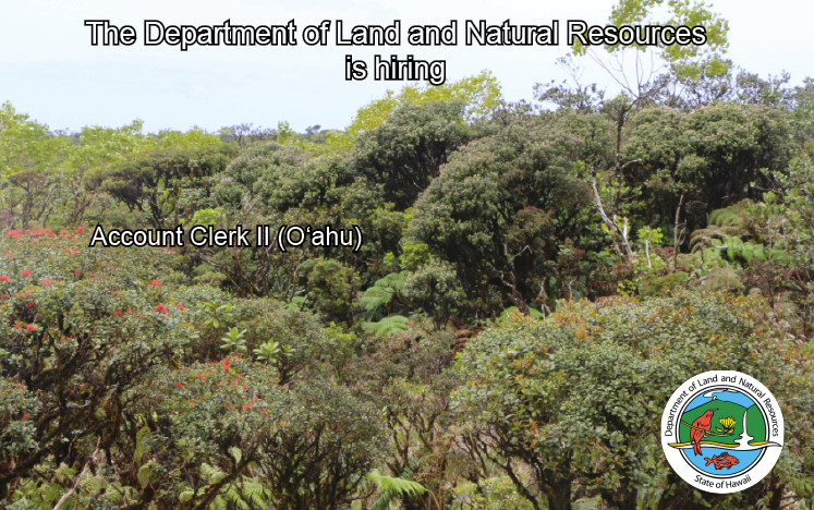 FURTHER YOUR CAREER AT THE DEPARTMENT OF LAND AND NATURAL RESOURCES Account Clerk II (Oahu) governmentjobs.com/careers/hawaii…