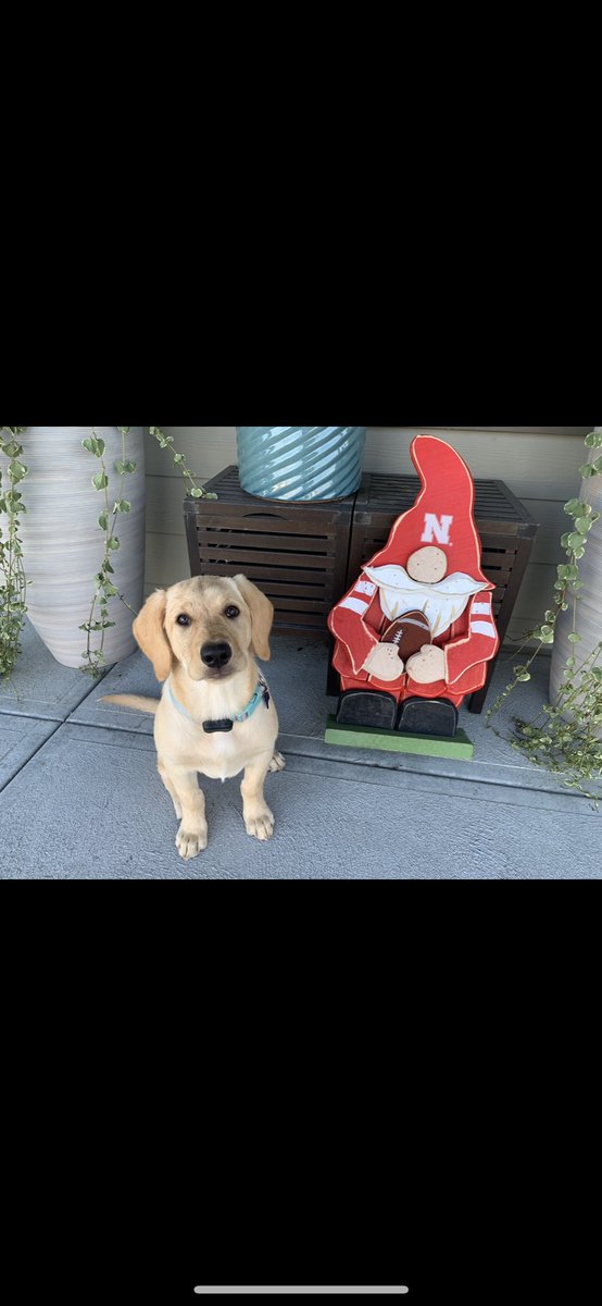 SamKazda's tweet photo. Thanks @Chewy 🥹 https://t.co/cgvcBPFBJJ
