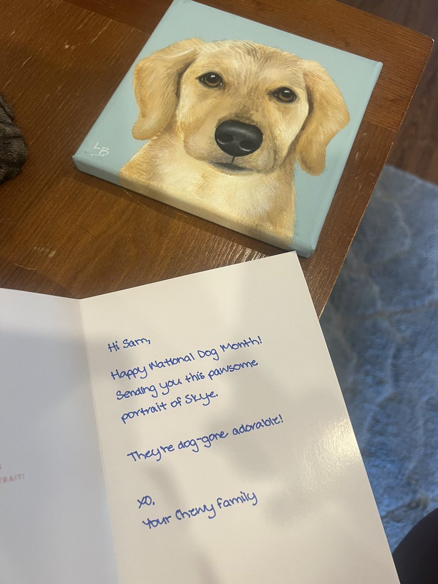 SamKazda's tweet photo. Thanks @Chewy 🥹 https://t.co/cgvcBPFBJJ