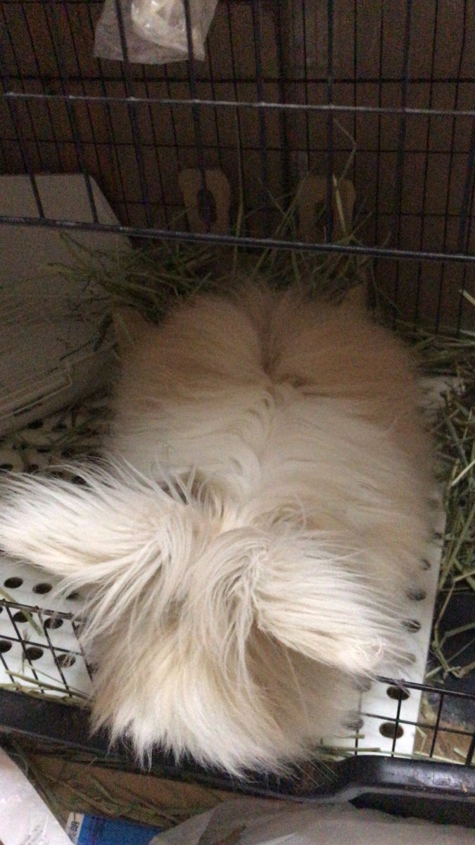 honokax27's tweet photo. おはようございます🌸
今日も起きたぞ。
明日は病院かー。
とりあえず今日も1日なんとか！
#おはよう
＃自分史倶楽部 https://t.co/F8kdfWjgmj