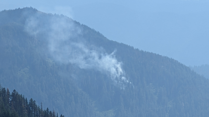 Lookout Fire Update August 7 2023:
Notice:  A lightning strike fire started on Saturday, August 5,  within the H.J. Andrews Experimental Forest, between the base of  Lookout cliff and the ridge dividing Lookout and Mack Creek drainages.

andrewsforest.oregonstate.edu/news/lookout-f…