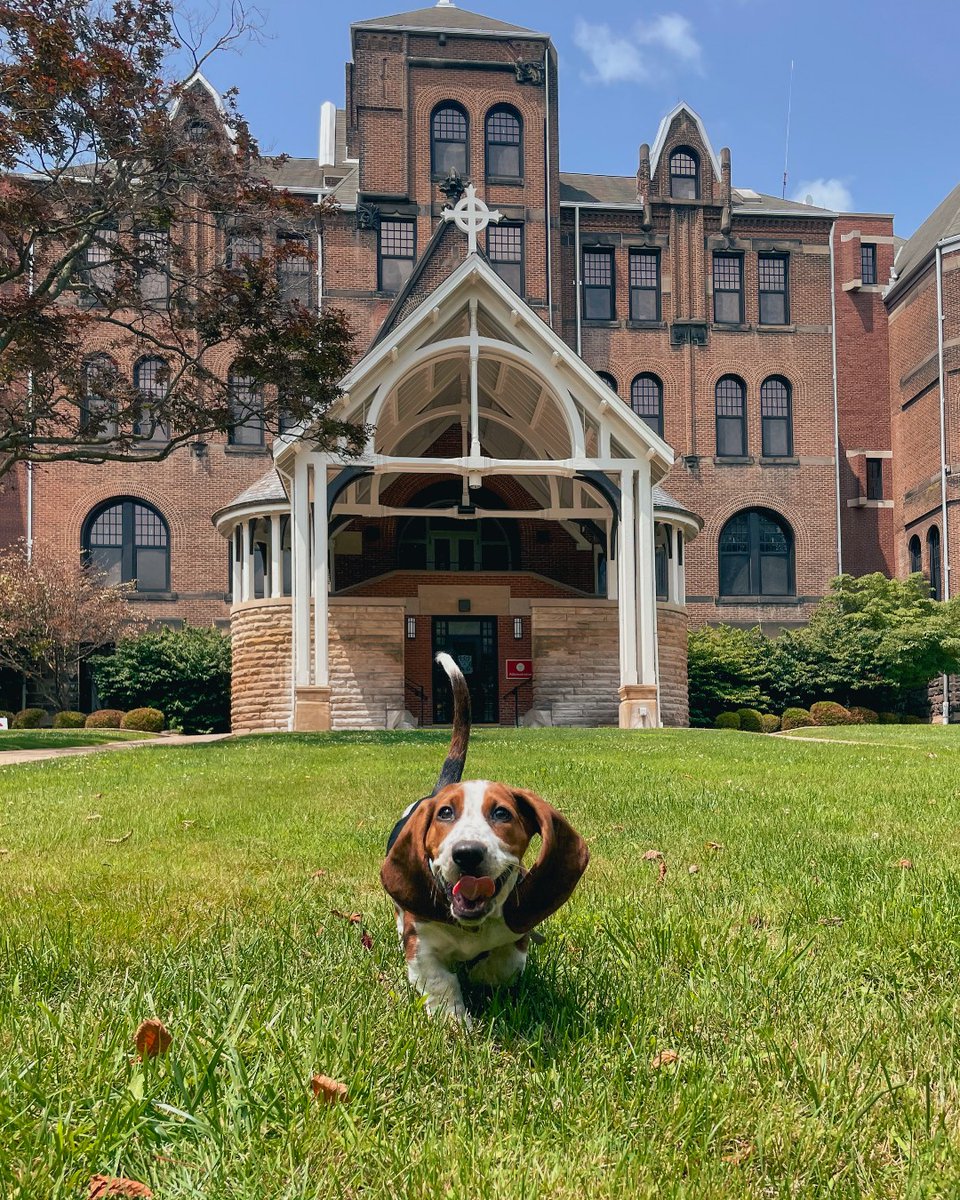 setonhill's tweet photo. What could make a puppy post even better? An engagement! 💍 ❤️ Rys visted Seton Hill recently with his parents Molly Carbone ('20) and Stephen Heberling ('17) - who got engaged right here on campus. Congratulations, Molly &amp; Stephen! https://t.co/OND9m52A8M