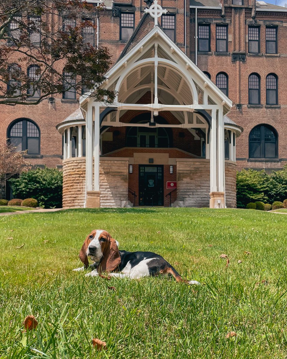 setonhill's tweet photo. What could make a puppy post even better? An engagement! 💍 ❤️ Rys visted Seton Hill recently with his parents Molly Carbone ('20) and Stephen Heberling ('17) - who got engaged right here on campus. Congratulations, Molly &amp; Stephen! https://t.co/OND9m52A8M