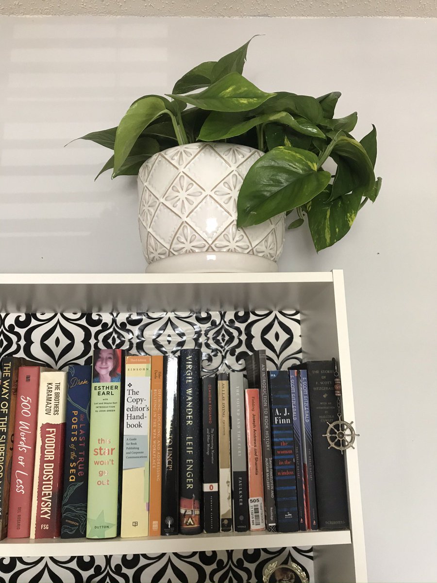 ngalanteee's tweet photo. Back with another pandemic pothos update: April 2020 - August 2023. https://t.co/gj7TFhohEf
