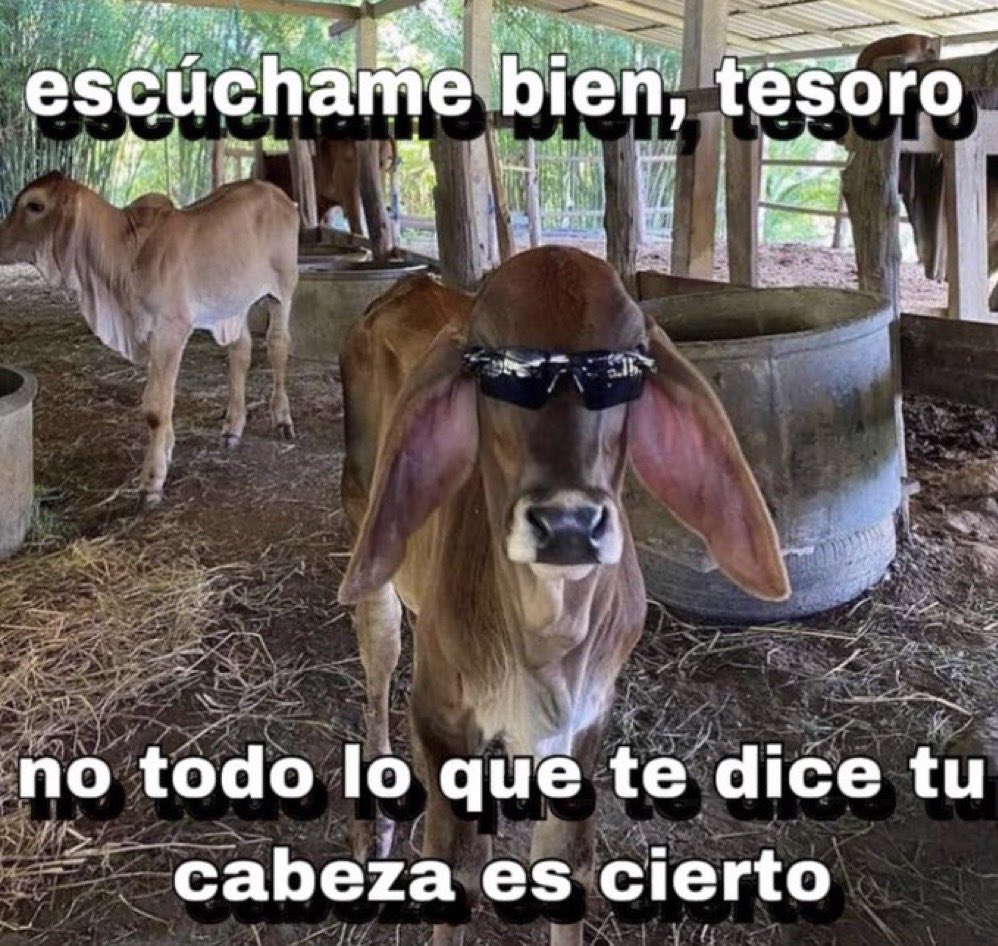 por si estás sobrepensando y necesitas leer esto ♥️