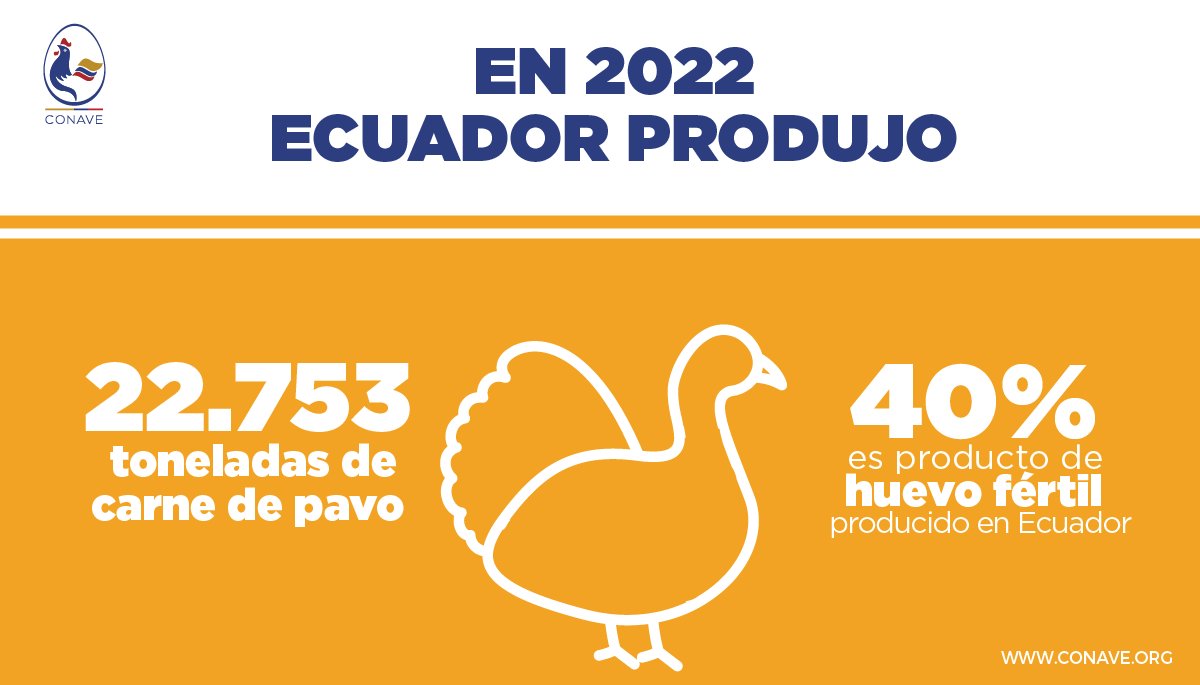 En 2020 Ecuador inicia la cría de reproductoras para huevo fértil de pavo, actividad que ha ido creciendo con el paso del tiempo.
En 2022 el 40% de producción de carne de pavo vino de huevo fértil producido en Ecuador

#ConsúmeloSinMiedo #PavoTodoElAño #ProteínaDeCalidad