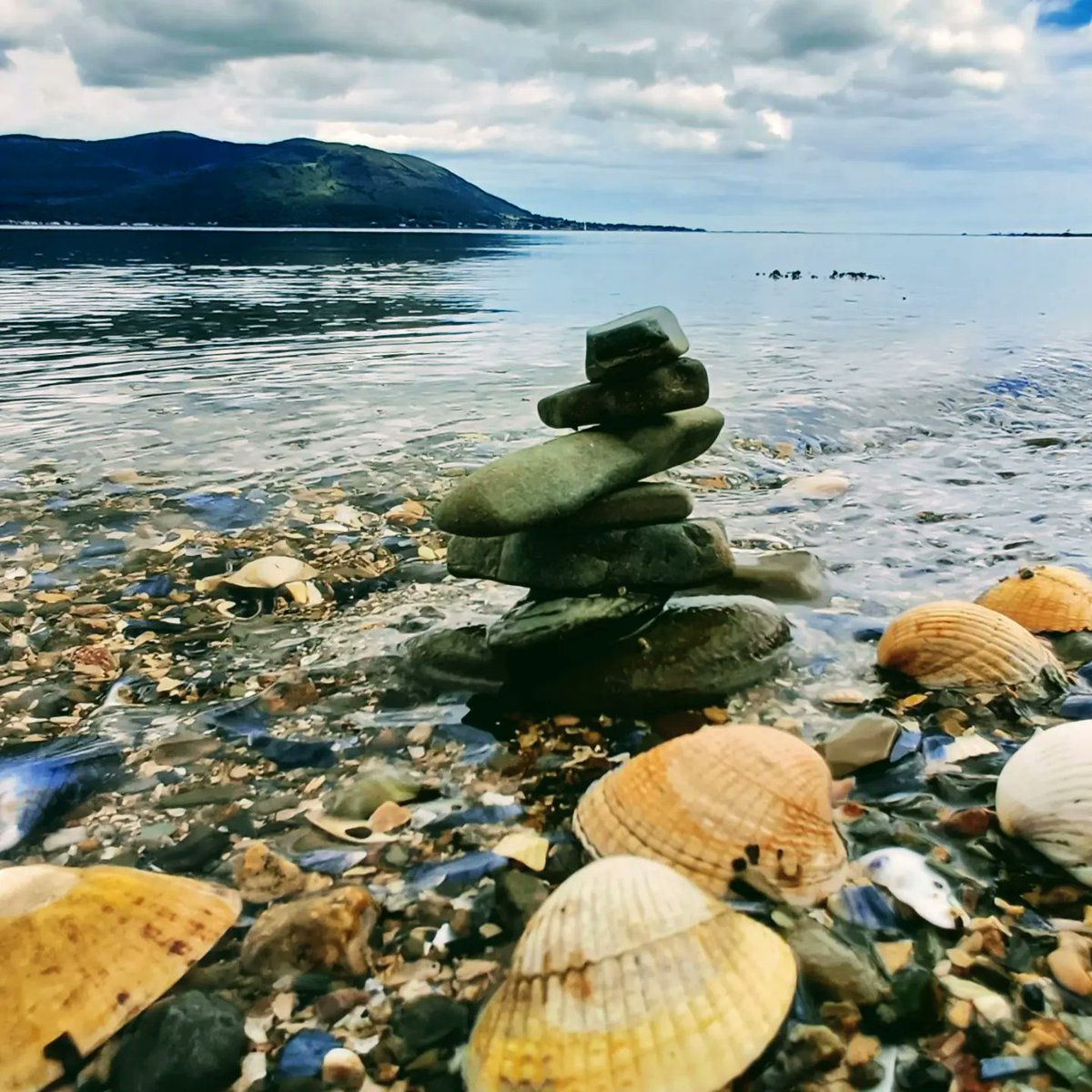 Carlingford/Omeath Cycling. Shoreline
#cyclingphotography #Ireland
#omeath #carlingford #cycling
#carlingfordmarina #CooleyPeninsula #carlingfordlough