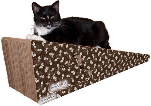 ImperialCat's tweet photo. Your cat will love spending hours scratching away at the rugged body of corrugated cardboard that's made in the USA. ➡️ https://t.co/ZfOzv4SR47  #imperialcat #petsupplies https://t.co/AMcIgN9Ewv