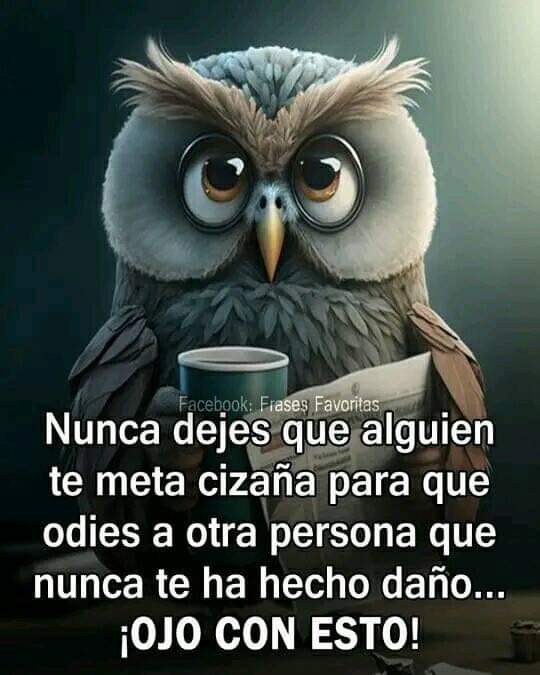 Leticia Aguilar (@pleticiaam) on Twitter photo 