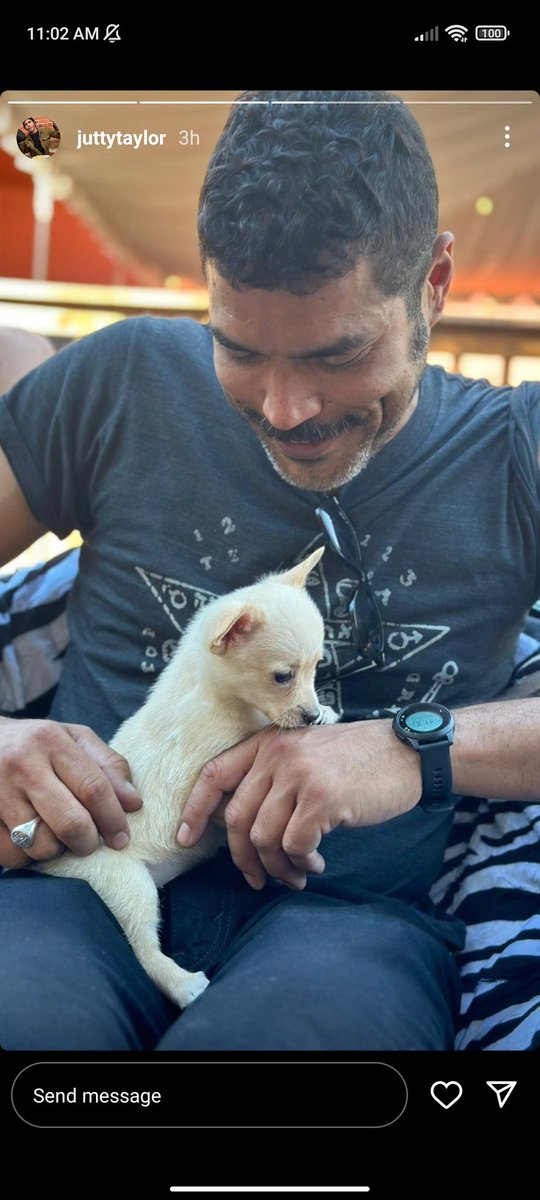starlesssankt's tweet photo. SO THAT MEAN ALL OF THIS ALLL OF THE UNSMAKED GHOULS AND GHOULETTES WITH PUPPIES...THERE IS A PIC OF TOBIAS WITH A PUPPY THERE IS ONE AND I NEED IT https://t.co/JwgzfDhGRs