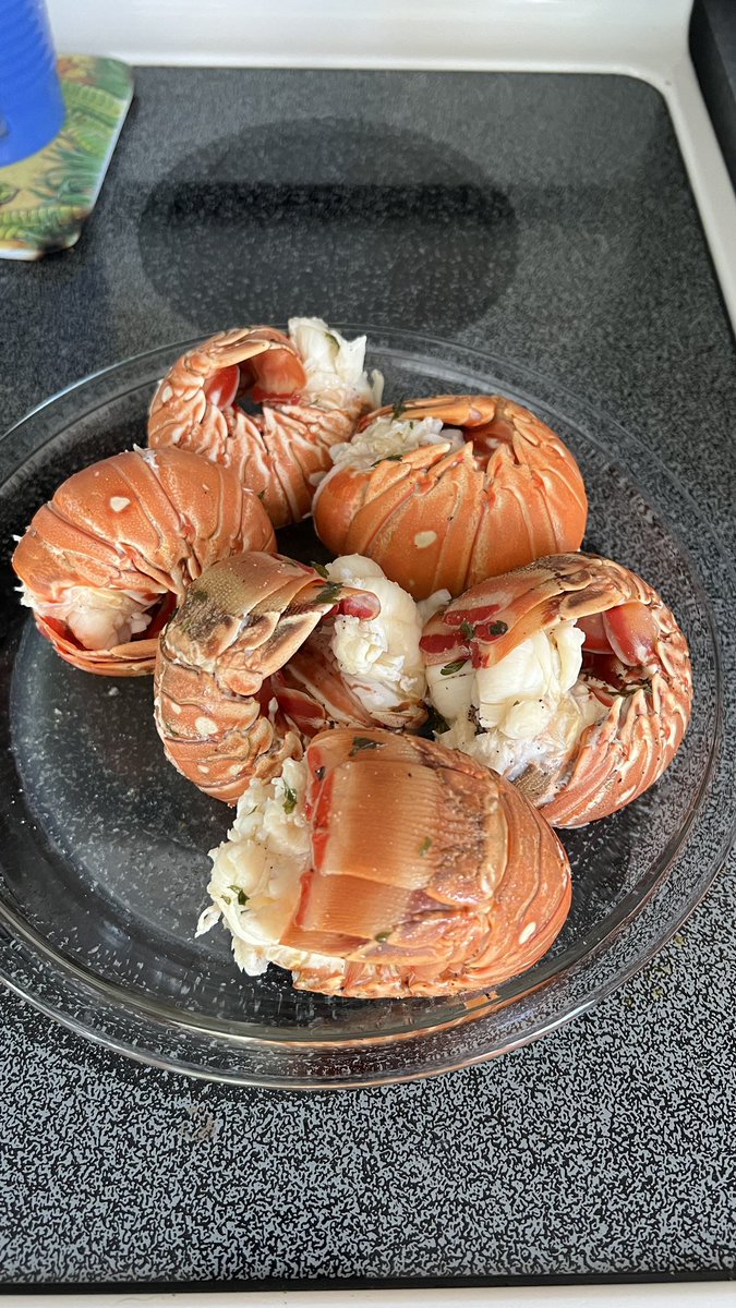 barbiedoll_eyw's tweet photo. We be eating  good tonight!  Fresh lobster with garlic butter pasta...ummm yummmmm! #keywest #flkeys #cookyourcatch  #docktodish 🧜🏻‍♀️🌊🙌🏻 https://t.co/0TwN8IZboX