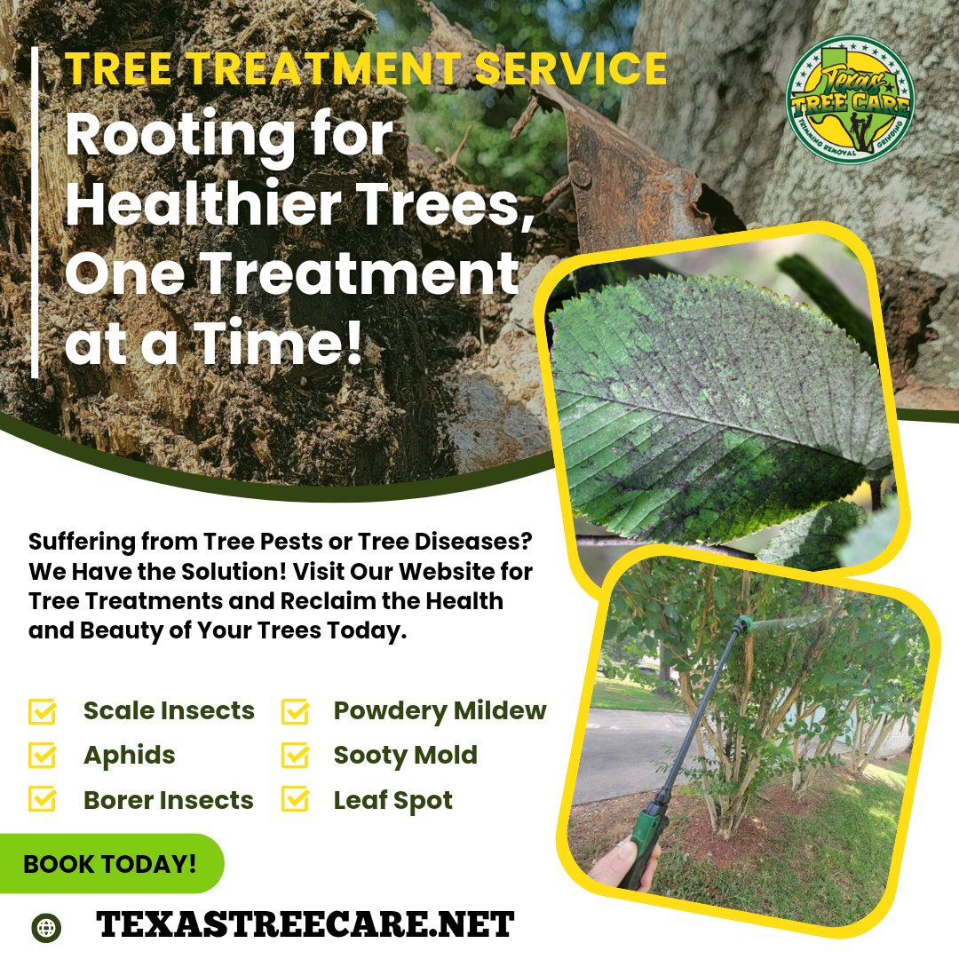 TexasTreeCare's tweet image. 🌳 Rooting for Healthier Trees, One Treatment at a Time! 🌳

Defend your #trees against #treepests &amp;amp; #treediseases with our tree treatment services by @TexasTreeCare! 🌿 Say goodbye to scale insects, aphids, &amp;amp; fungal foes. Book today!

Tree Treatment 🔗
texastreecare.net/tree-treatment