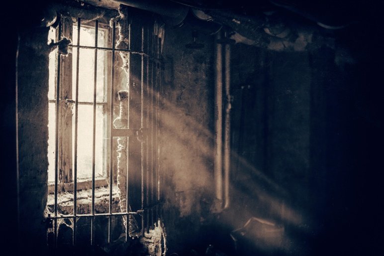 Julie Houston tweet media