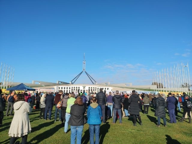 healthy_climate's tweet photo. Crowd of NT health professionals, parents and allies on the lawns of Parliament House, braving a a crisp Canberra morning to say #DoNoHarmStopMiddleArm. https://t.co/ZSqJoKruYC
