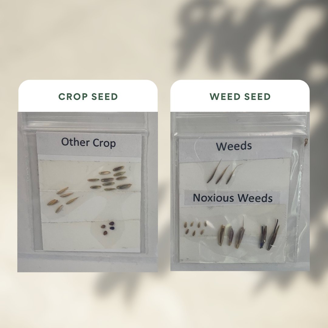 Heritage Professional Products Group (PPG) tweet media