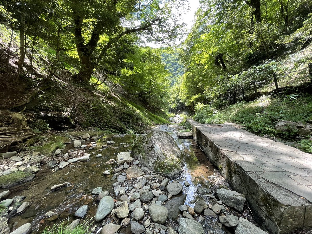 kokoshitto's tweet photo. この猿尾滝は兵庫県豊岡市ではなく、香美町でした💦

���車場から徒歩五分で行けるお手軽な滝です！ https://t.co/hxdZueIbj7