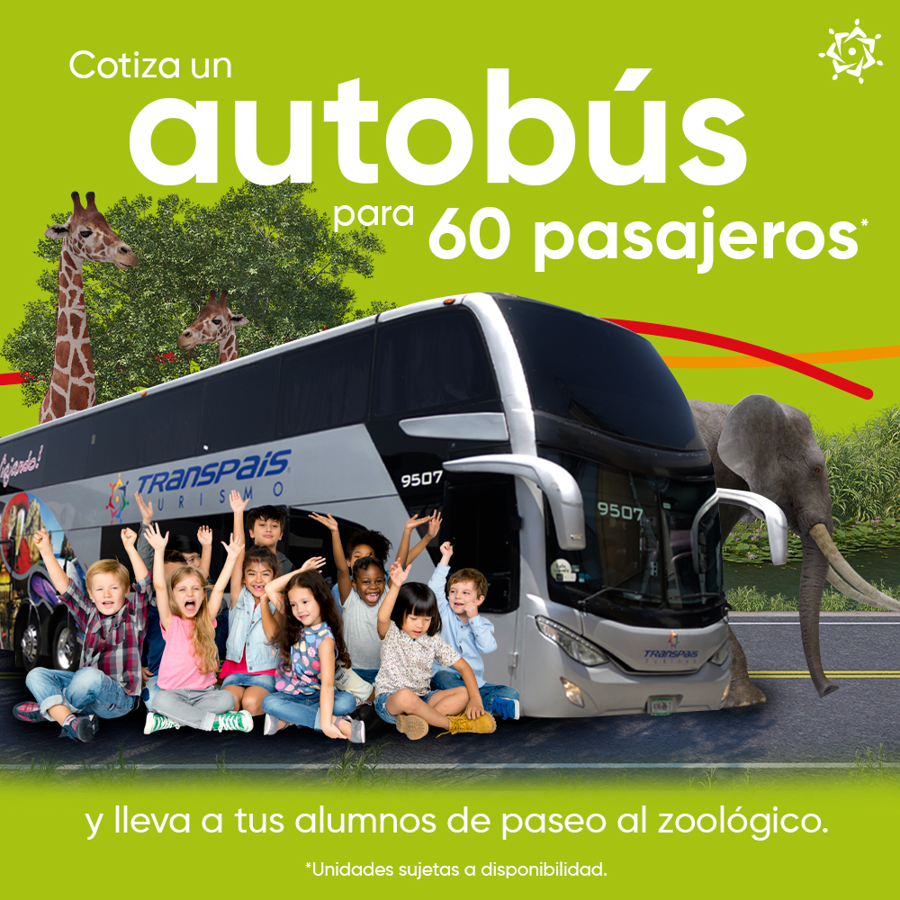 TranspaisTurism's tweet photo. ¡Tus alumnos merecen un viaje!🥳

¿Quieres más información?🫡 Contáctanos por medio de nuestro WhatsApp al 📲834 115 8374.

*Consulta disponibilidad en tu ciudad.

#TranspaisTurismo #ViveViajando #viajeescolar #zoologico https://t.co/jlRidU7SCI