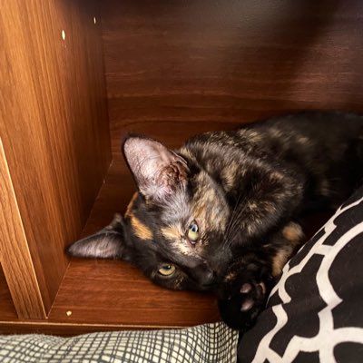 _chiefjake's tweet photo. #NewProfilePic https://t.co/nGdScwIU1p