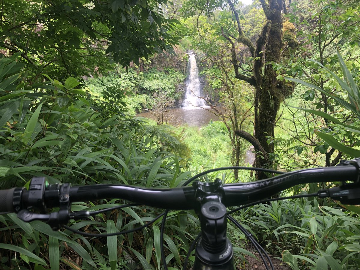 To answer a commonly asked question: 'Are there trails to ride around here?' YES! And if you choose the right trail, you might even find yourself at a waterfall. #waterfalls #hawaiitrails #rockymountainbikes