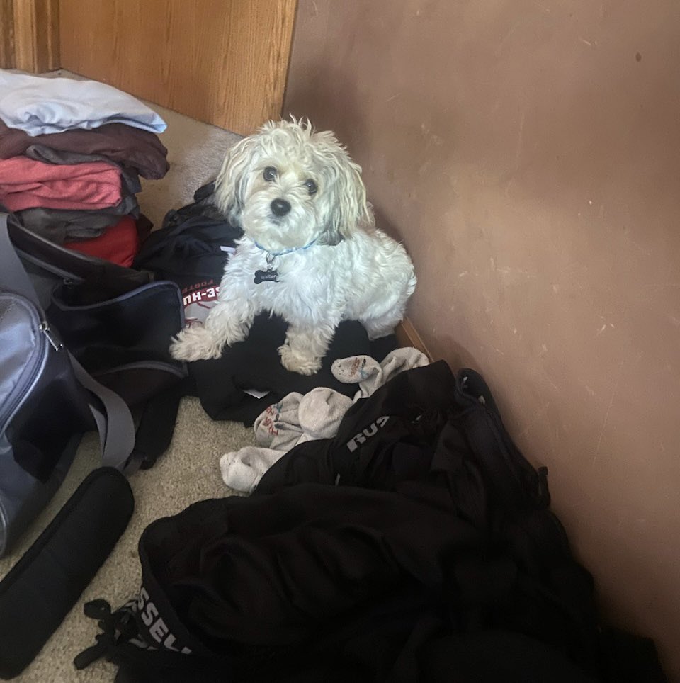 STOP 🛑 the PACKING!  I am going to lay here on the clothes so you stop and then my bro won’t  leave for college 🏈tomorrow.  Even though he doesn’t like me, I’m going to miss him.  🐶😢