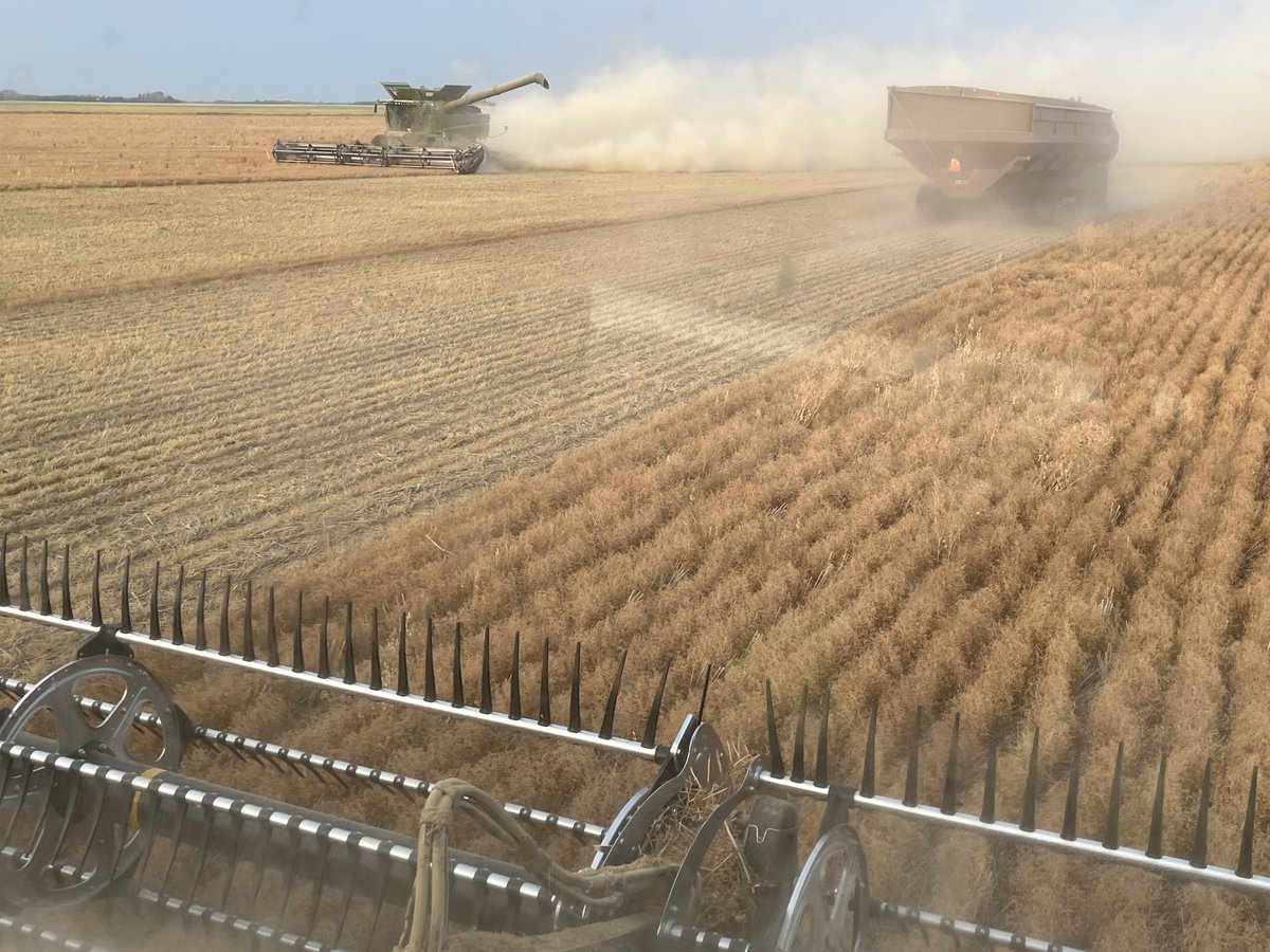 seed_terminator's tweet image. Terminating in Canada 😎 

#SaskAg #SeedTerminator #Harvest23