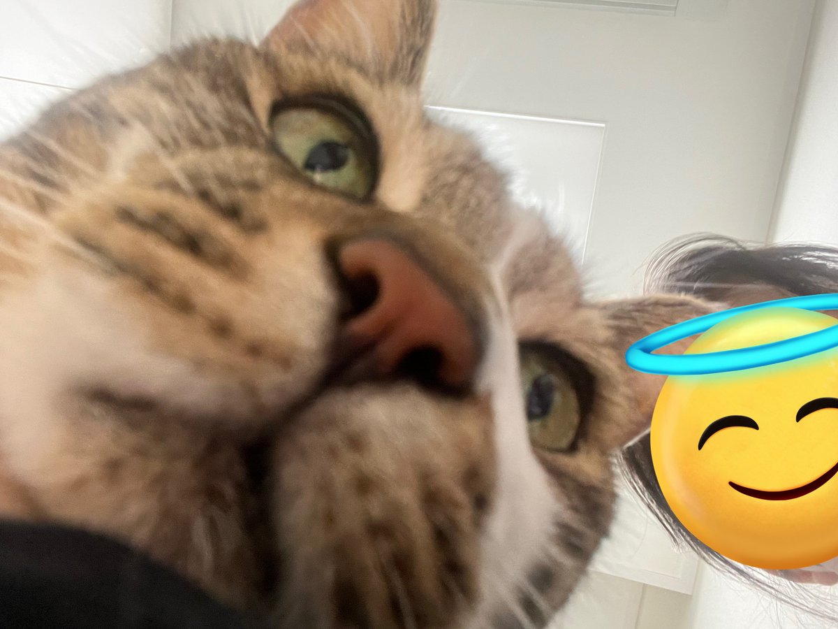 그쪽도 홍박사님을 아세요?