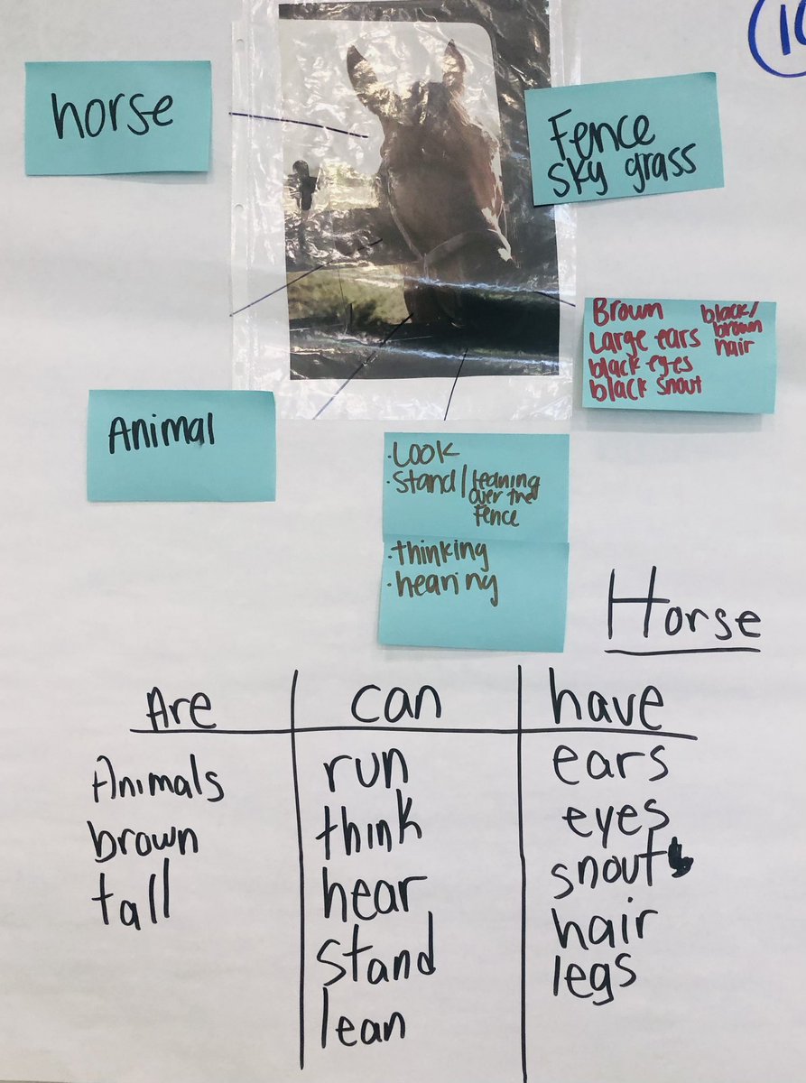 Natalia Heckman tweet media