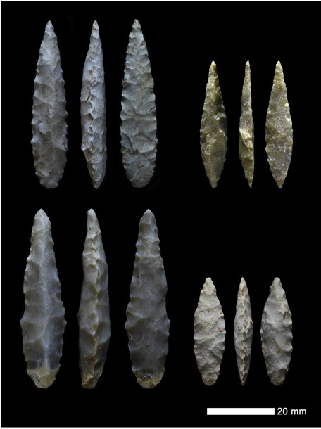 This is the most exciting stone tool discovery in Indonesia for many years. These are previously unknown technologies and tool types for the region. Congratulations to the research team! #stonetools #archaeology sciencedirect.com/science/articl…