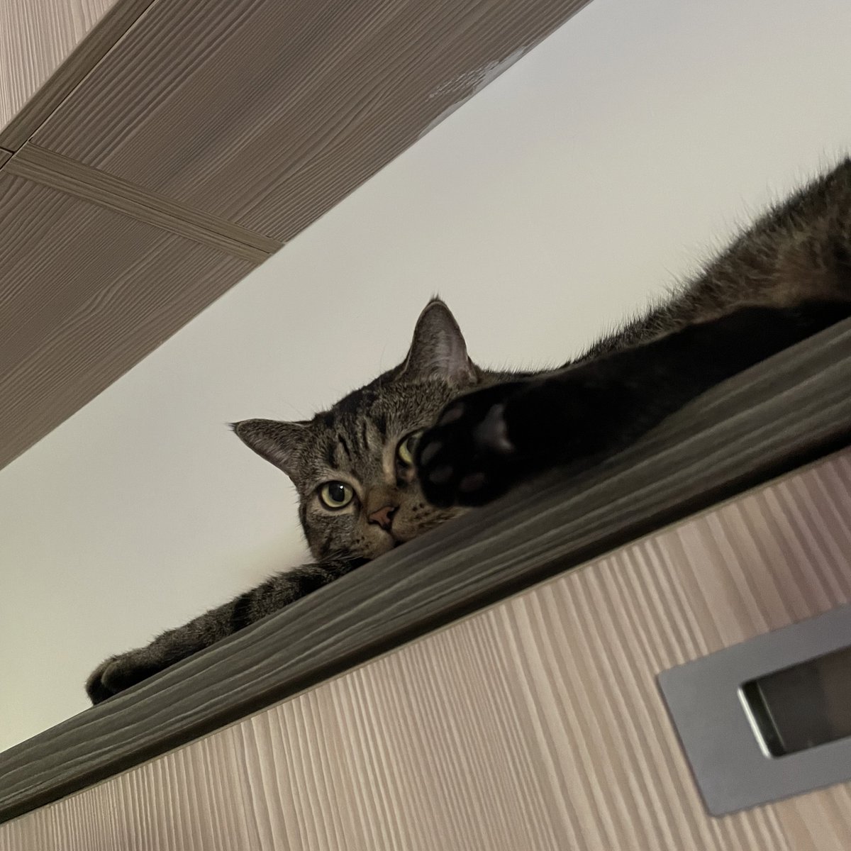 KH스다 (@skydiving0825) on Twitter photo 