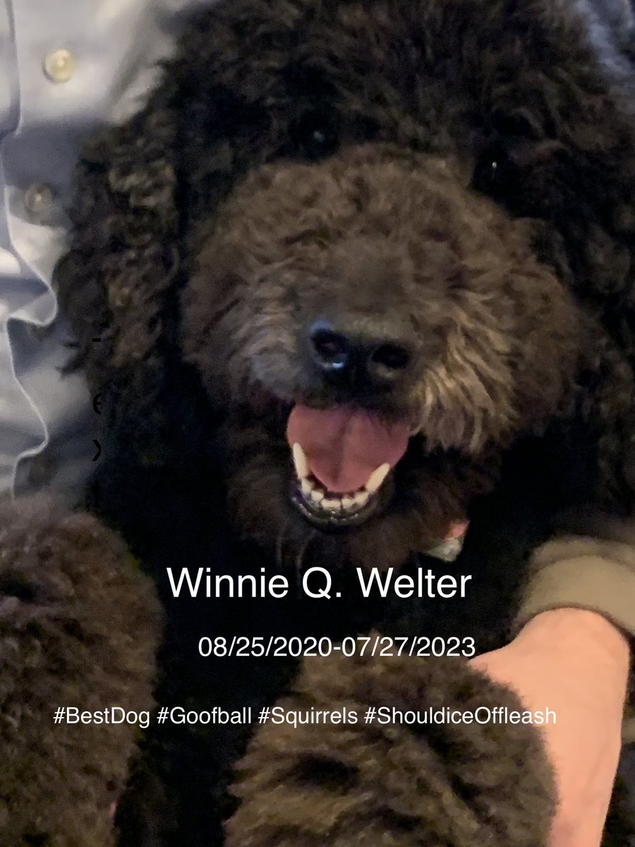 Meegan Read tweet media