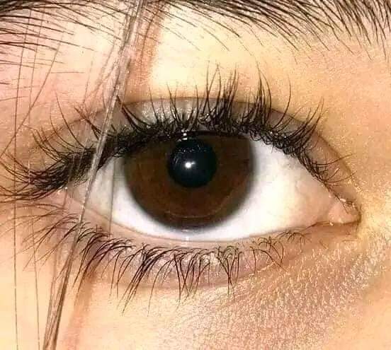 _farjanamim_'s tweet photo. Last Night So Many People Closed Their Eyes To Sleep, And Never Got To Open Them Again. You Weren't One Of Them.

.     "Say ALHAMDULLILLAH 😊🤗" https://t.co/LTTiT2hjKk